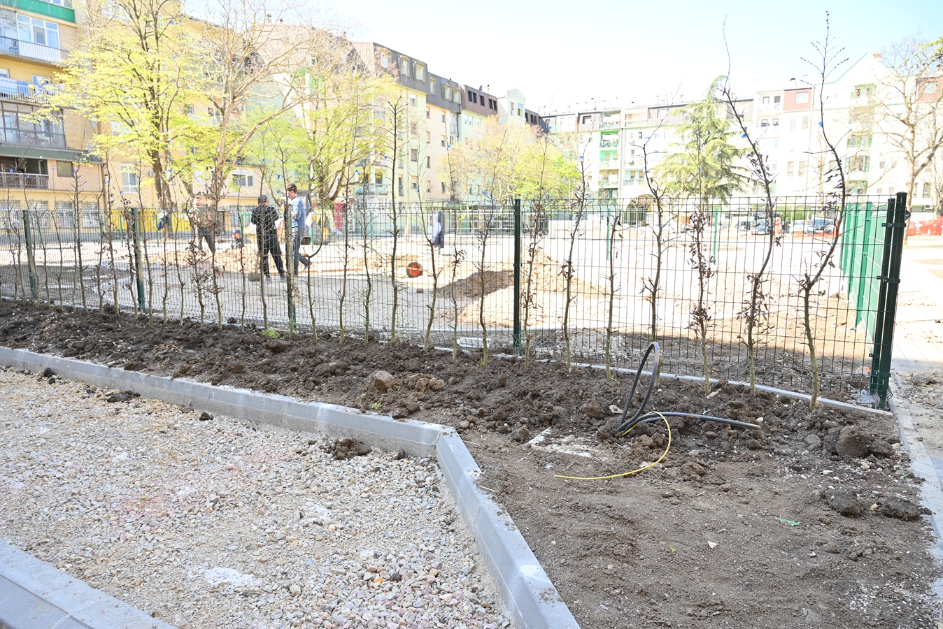 Почело озелењавање урбаног џепа „Апотека“ у центру Руме