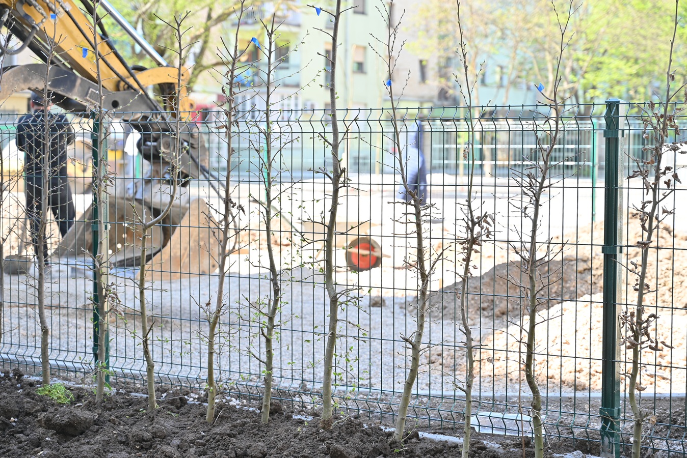 Почело озелењавање урбаног џепа „Апотека“ у центру Руме