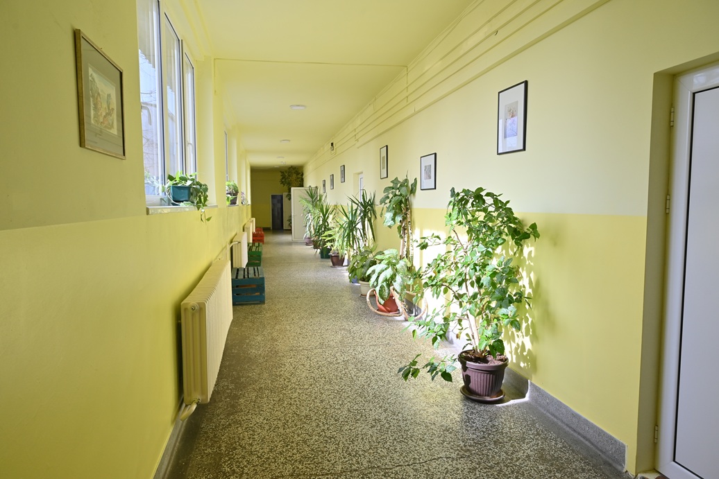 „Бранкова“ школа у новом руху