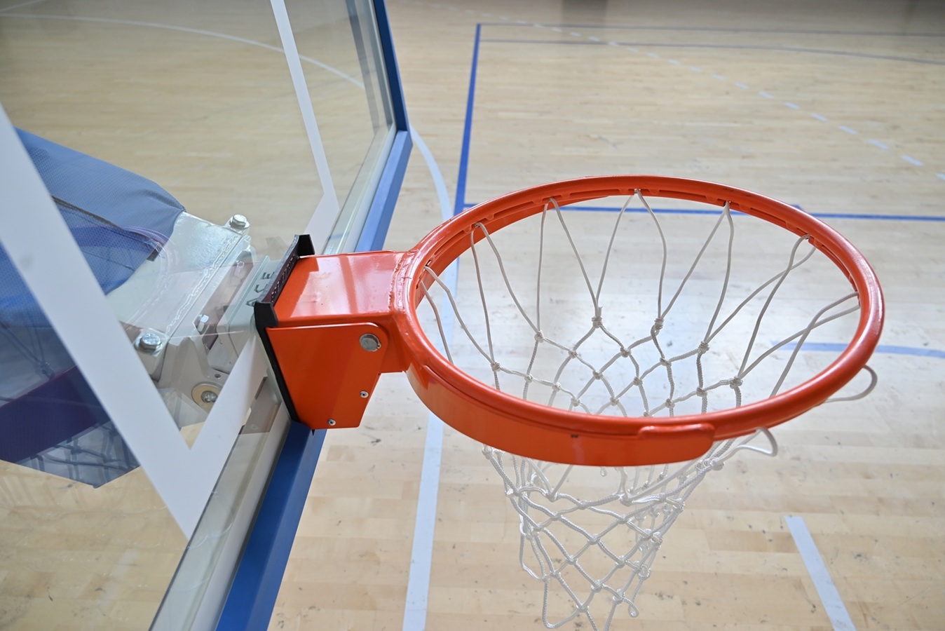 Нови кошеви у Путинцима