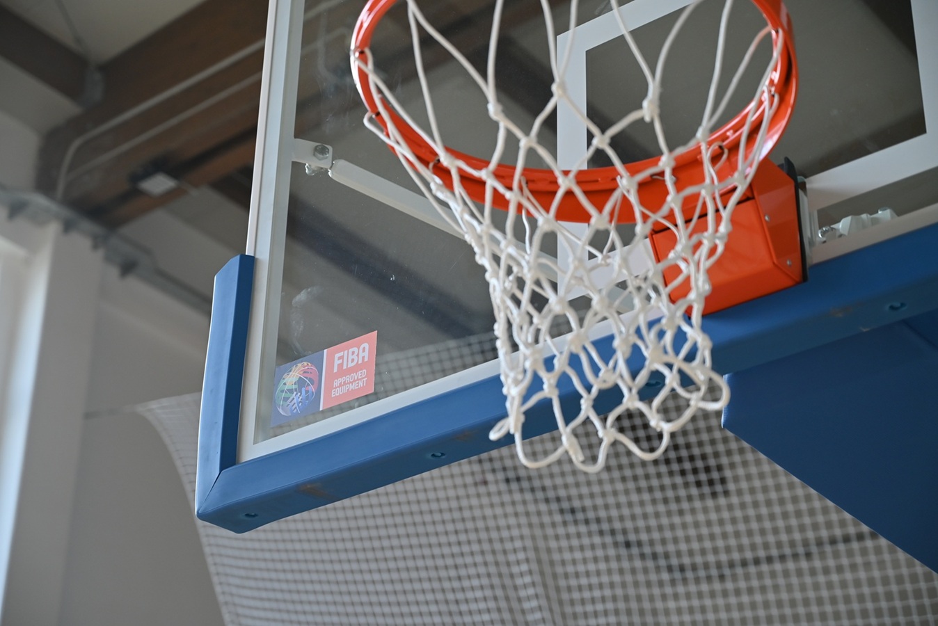 Нови кошеви у Путинцима